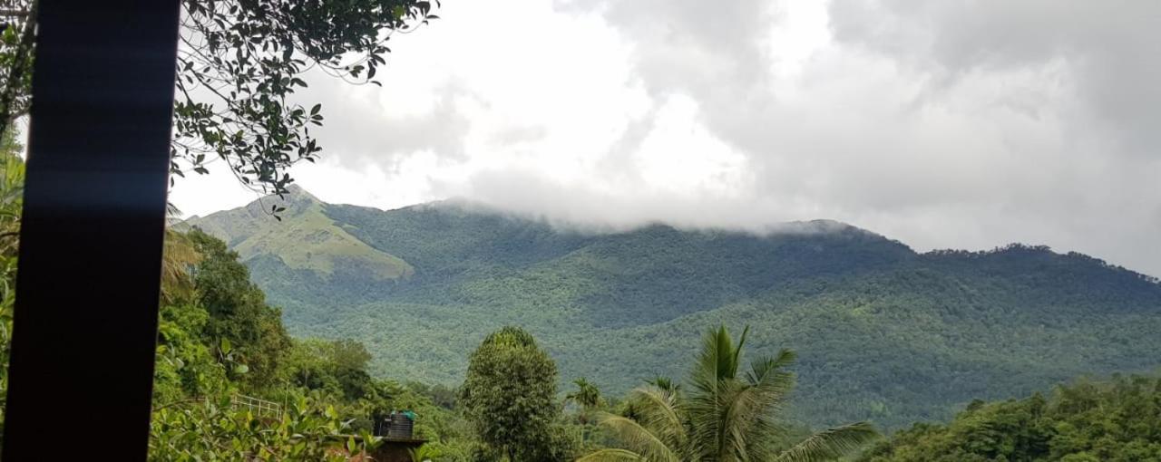 Wayanad Doubletree Villa Витірі Екстер'єр фото