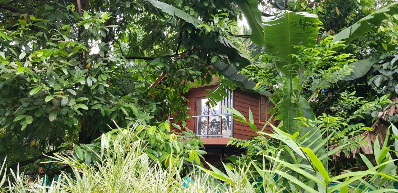Wayanad Doubletree Villa Витірі Екстер'єр фото