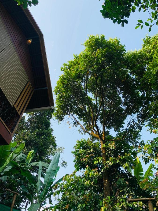 Wayanad Doubletree Villa Витірі Екстер'єр фото