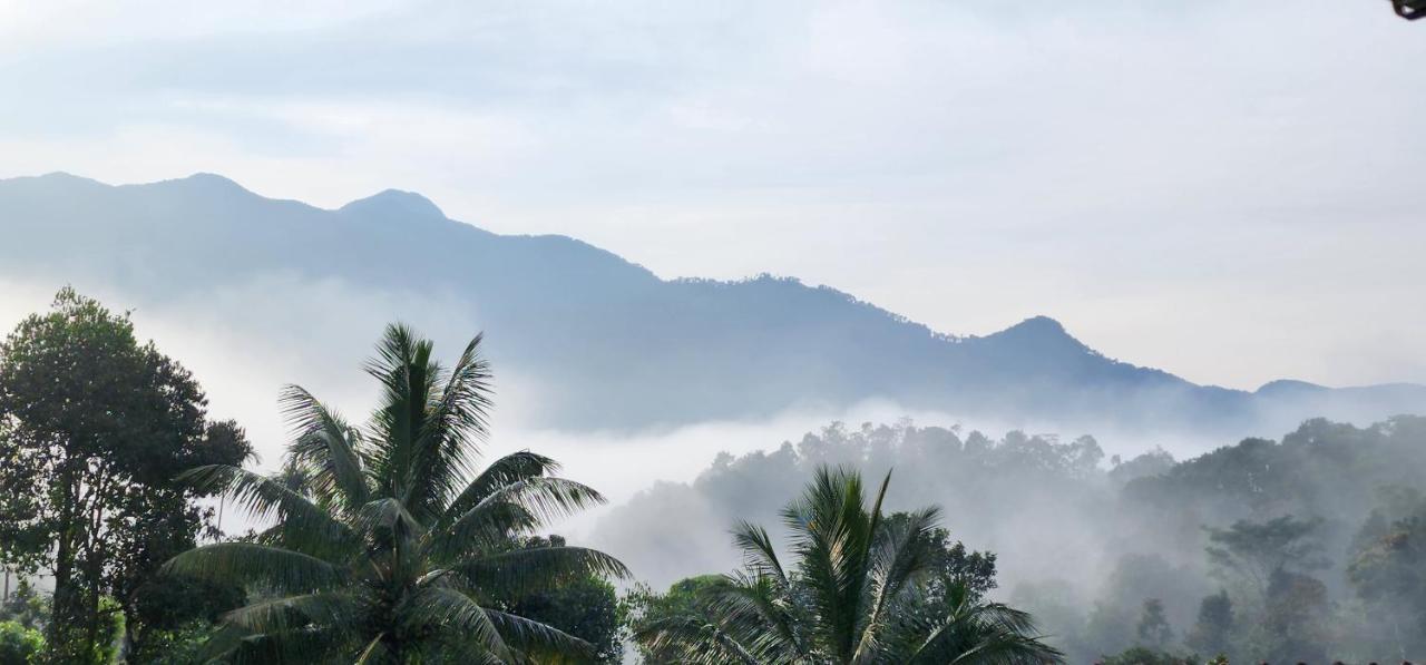 Wayanad Doubletree Villa Витірі Екстер'єр фото